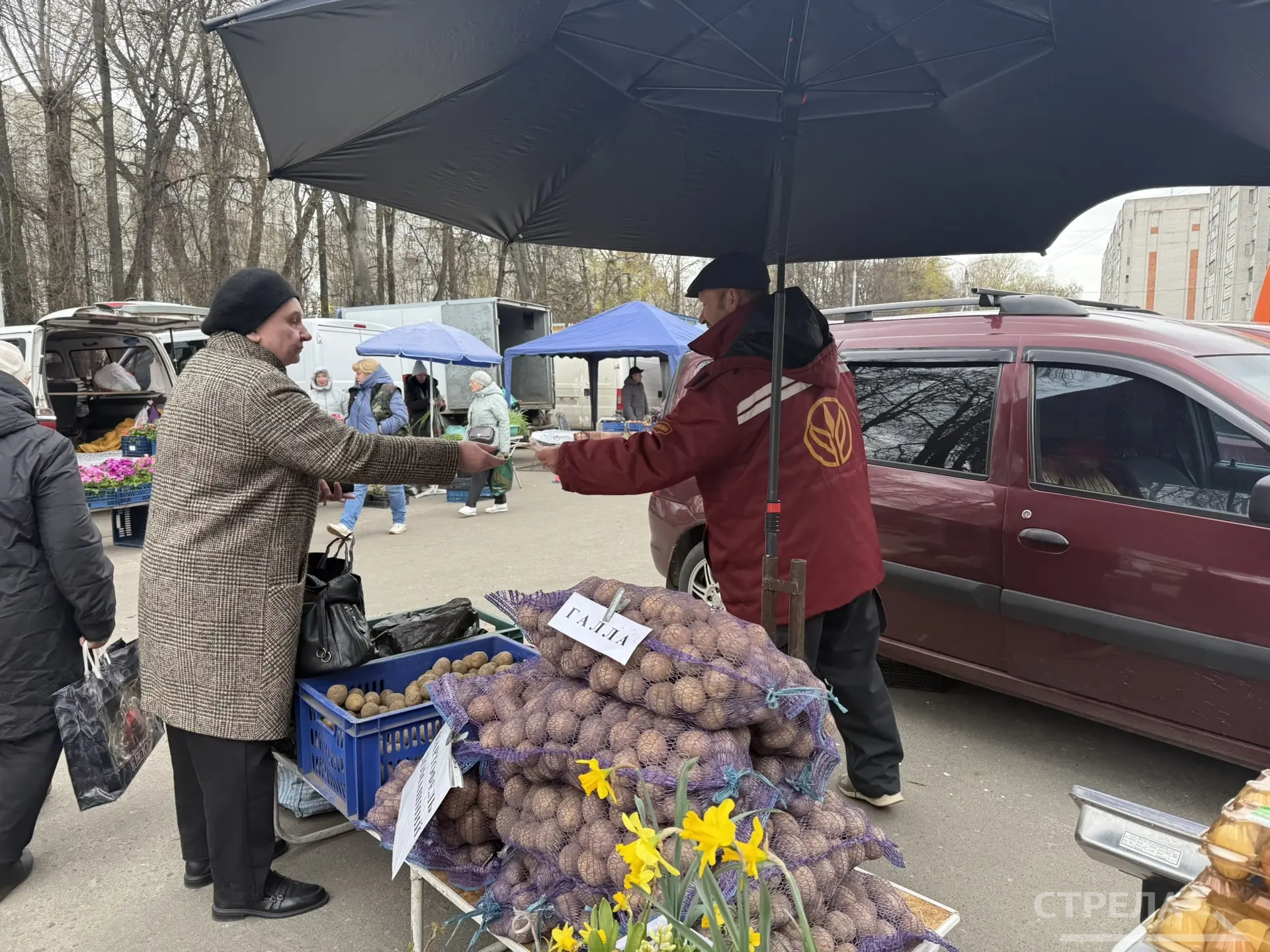 На ярмарке выходного дня в Брянске была представлена продукция  из разных районов области