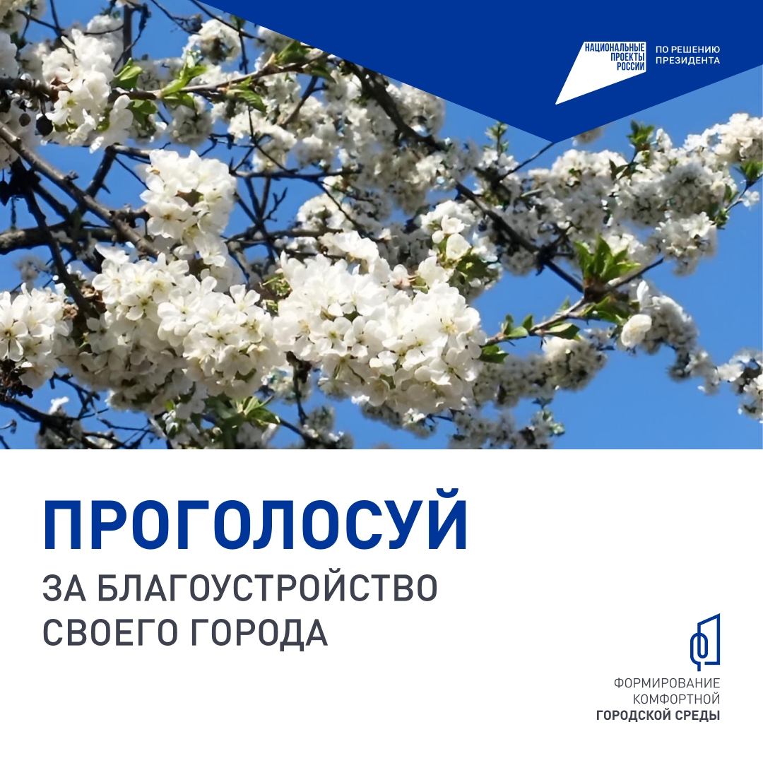 Брянцев приглашают проголосовать за объекты благоустройства