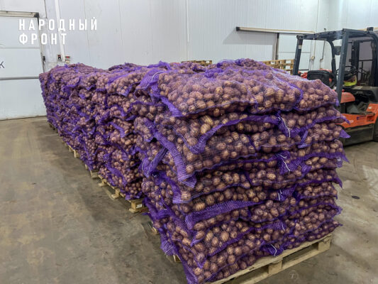 Народный фронт доставил в Дагестан более 60 тонн семенного картофеля для восстановления хозяйств после паводка