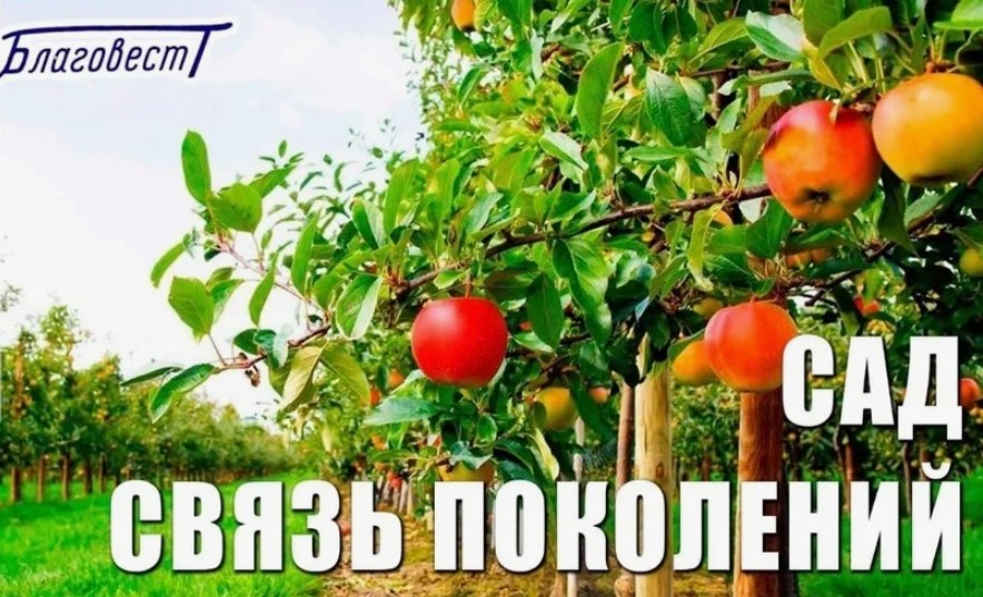 Брянцы участвуют во Всероссийской акции «Сад – Связь поколений»