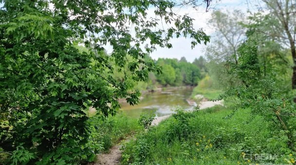 В Брянской области развивают туризм