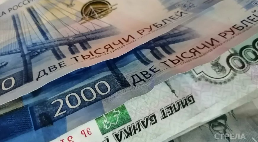 На Брянщине у многодетных семей появилась новая мера поддержки