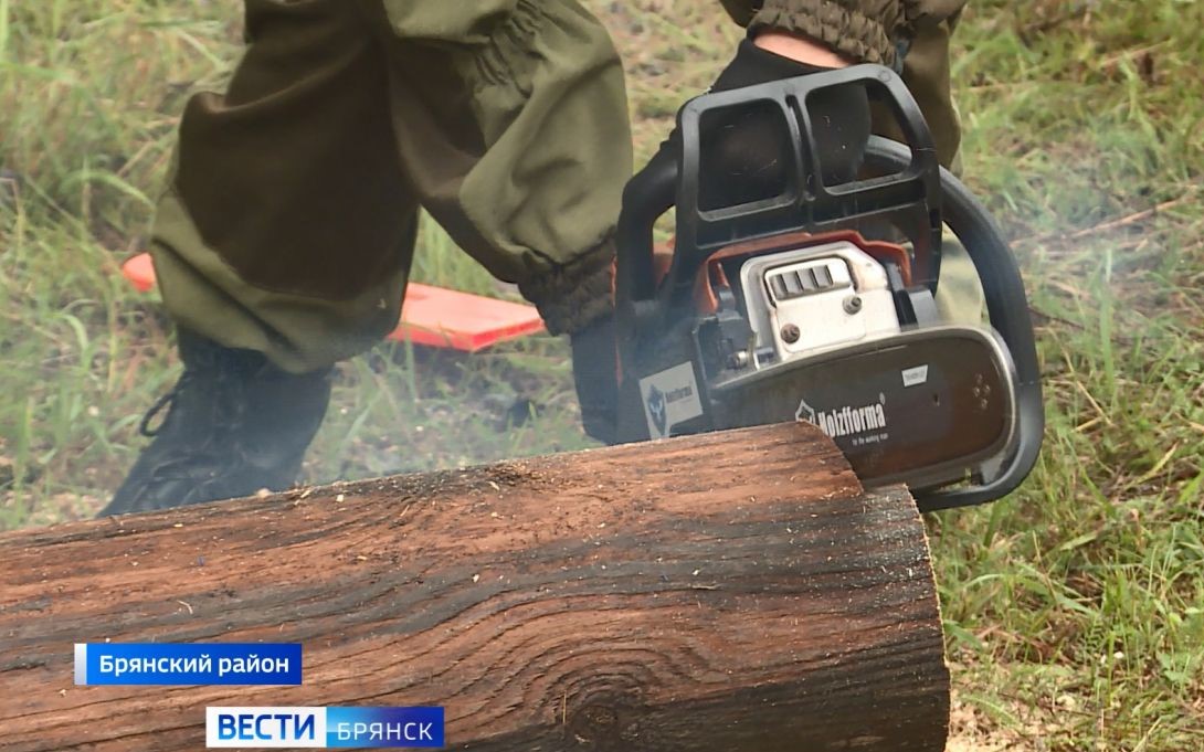 На Брянщине определили лучшего лесного пожарного