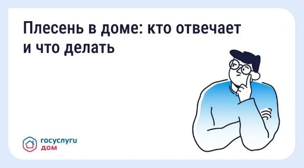 Жителям Брянщины рассказали, как бороться с плесенью в квартире
