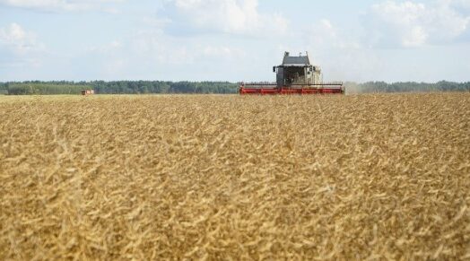 В Брянской области продолжается уборка сельскохозяйственных культур